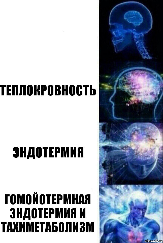  Теплокровность Эндотермия Гомойотермная эндотермия и тахиметаболизм, Комикс  Сверхразум