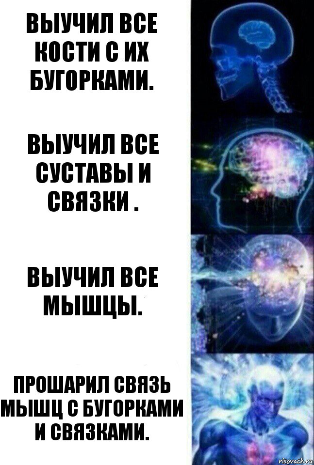 Выучил все кости с их бугорками. Выучил все суставы и связки . Выучил все мышцы. Прошарил связь мышц с бугорками и связками., Комикс  Сверхразум