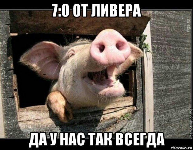 7:0 от ливера да у нас так всегда