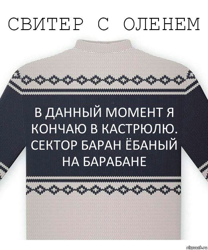 В данный момент я кончаю в кастрюлю. Сектор баран ёбаный на барабане, Комикс  Свитер с оленем