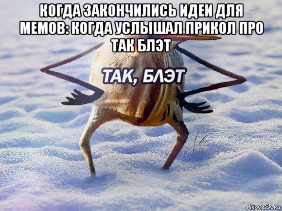 когда закончились идеи для мемов: когда услышал прикол про так блэт , Мем  Так блэт птица с руками