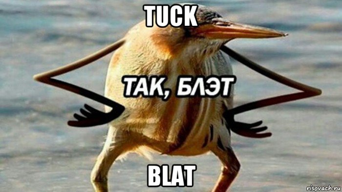 tuck blat, Мем  Так блэт