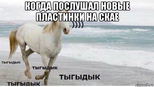 когда послушал новые пластинки на скае , Мем   Тыгыдык