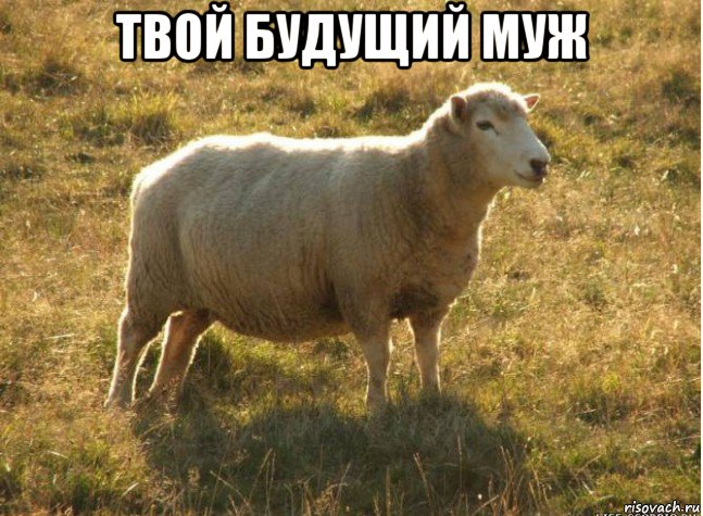 твой будущий муж 