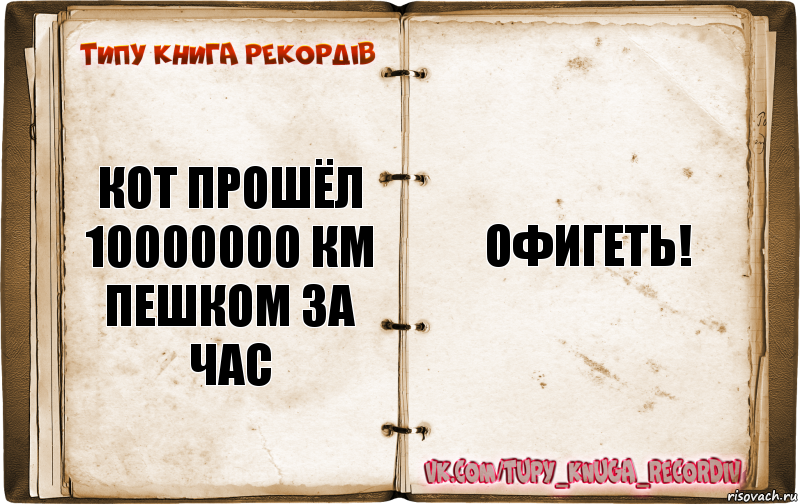 Кот прошёл 10000000 км пешком за час Офигеть!, Комикс  Типу книга рекордв