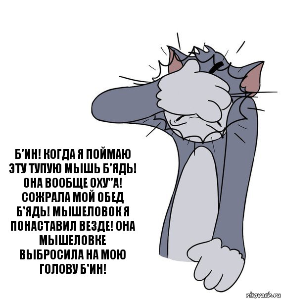 Б'ин! Когда я поймаю эту тупую мышь б'ядь! ОНА ВООБЩЕ ОХУ''А! СОЖРАЛА МОЙ ОБЕД Б'ЯДЬ! Мышеловок я понаставил ВЕЗДЕ! Она мышеловке выбросила на мою голову Б'ин!