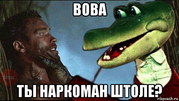 вова ты наркоман штоле?