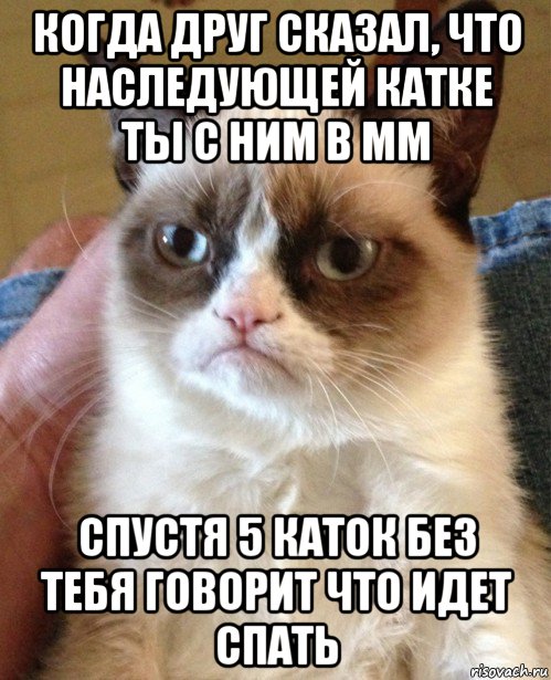 когда друг сказал, что наследующей катке ты с ним в мм спустя 5 каток без тебя говорит что идет спать, Мем Угрюмый кот