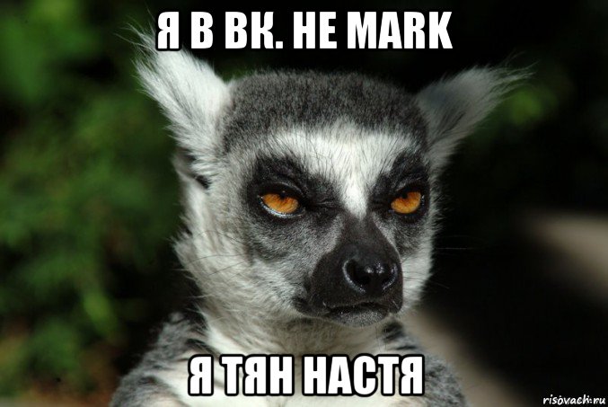 я в вк. не mark я тян настя, Мем   Я збагоен