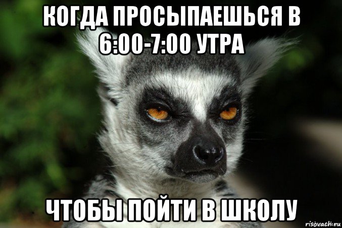 когда просыпаешься в 6:00-7:00 утра чтобы пойти в школу, Мем   Я збагоен