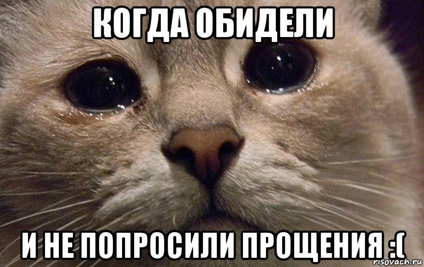 когда обидели и не попросили прощения :(, Мем   В мире грустит один котик