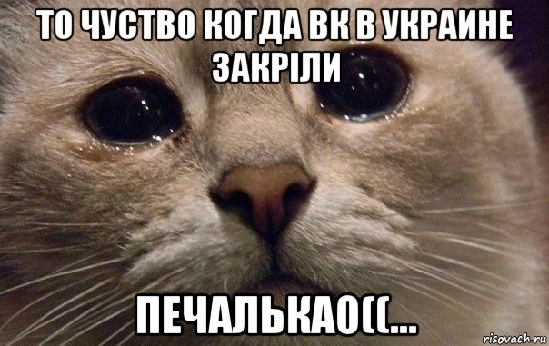 то чуство когда вк в украине закріли печалька0((..., Мем   В мире грустит один котик