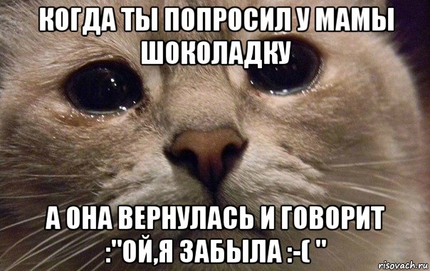 когда ты попросил у мамы шоколадку а она вернулась и говорит :"ой,я забыла :-( ", Мем   В мире грустит один котик