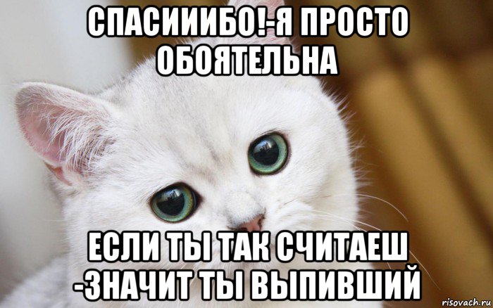 спасииибо!-я просто обоятельна если ты так считаеш -значит ты выпивший, Мем  В мире грустит один котик