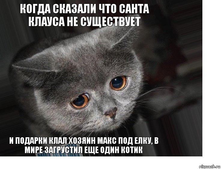 когда сказали что Санта Клауса не существует и подарки клал хозяин Макс под елку, в мире загрустил еще один котик, Комикс Грустит кот