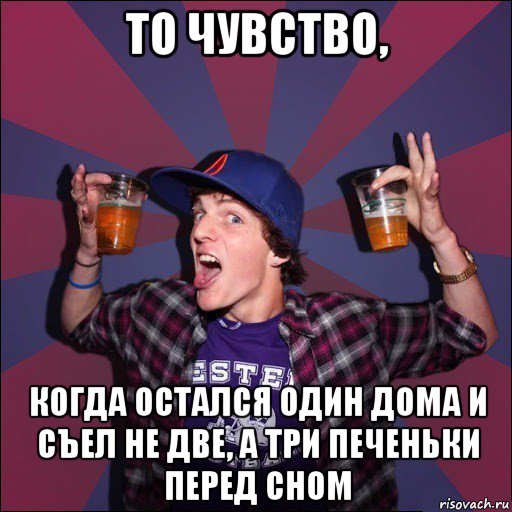 то чувство, когда остался один дома и съел не две, а три печеньки перед сном