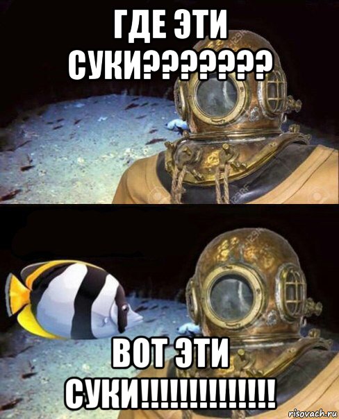 где эти суки??????? вот эти суки!!!!!!!!!!!!!!