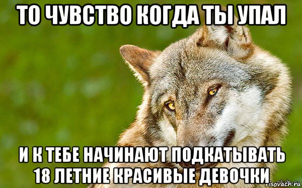 то чувство когда ты упал и к тебе начинают подкатывать 18 летние красивые девочки, Мем   Volf