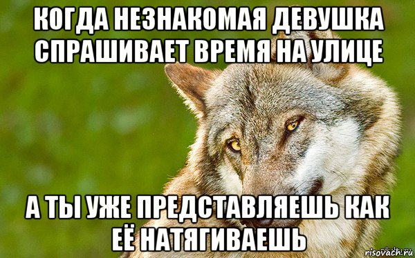 когда незнакомая девушка спрашивает время на улице а ты уже представляешь как её натягиваешь, Мем   Volf