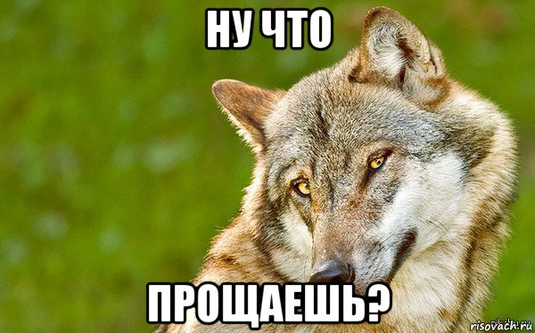 ну что прощаешь?, Мем   Volf