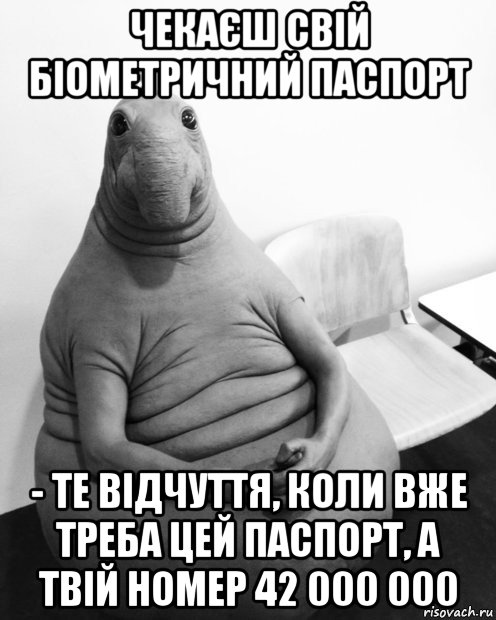 чекаєш свій біометричний паспорт - те відчуття, коли вже треба цей паспорт, а твій номер 42 000 000, Мем  Ждун