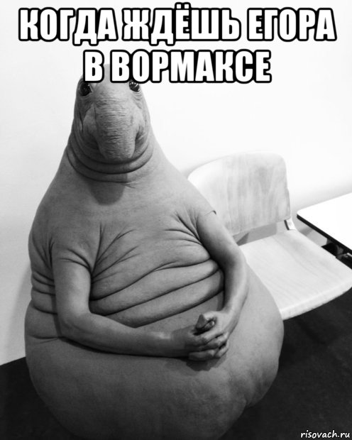 когда ждёшь егора в вормаксе , Мем  Ждун