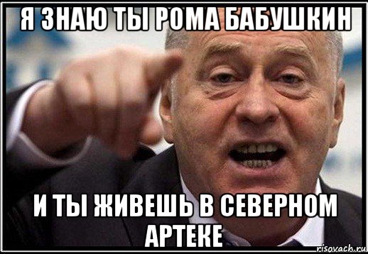 я знаю ты рома бабушкин и ты живешь в северном артеке, Мем жириновский ты