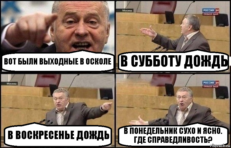 ВОТ БЫЛИ ВЫХОДНЫЕ В ОСКОЛЕ В СУББОТУ ДОЖДЬ В ВОСКРЕСЕНЬЕ ДОЖДЬ В ПОНЕДЕЛЬНИК СУХО И ЯСНО. ГДЕ СПРАВЕДЛИВОСТЬ?, Комикс Жириновский