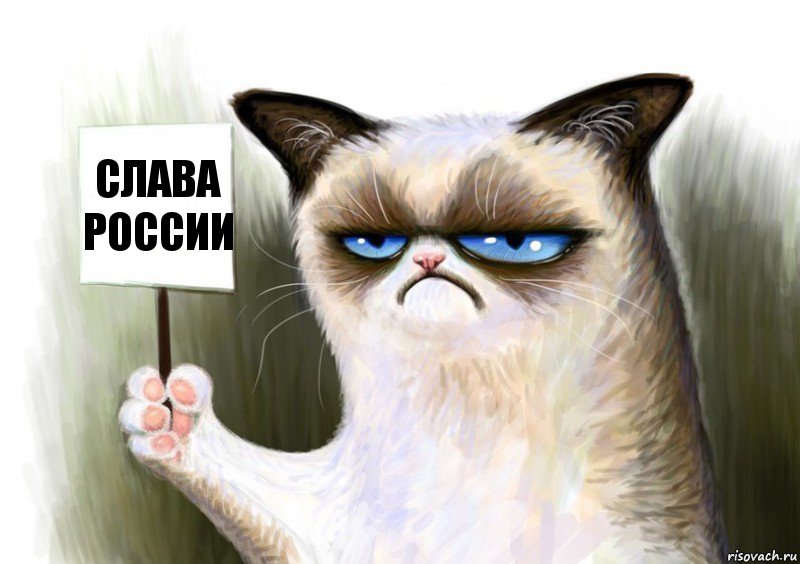 Слава России, Комикс Сварливый кот с табличкой