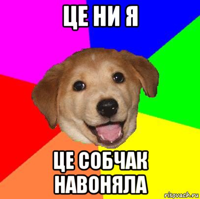 це ни я це собчак навоняла, Мем Advice Dog