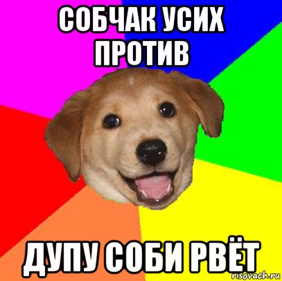 собчак усих против дупу соби рвёт, Мем Advice Dog