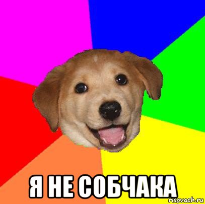  я не собчака, Мем Advice Dog