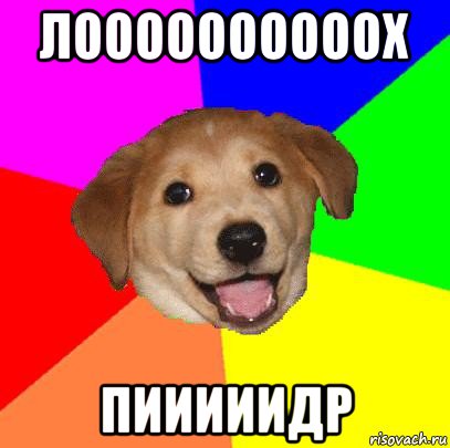 лоооооооооох пииииидр, Мем Advice Dog