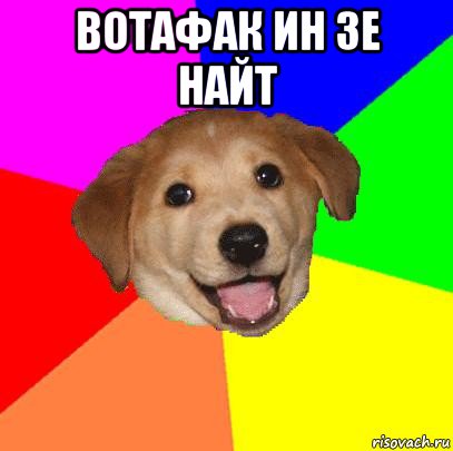 вотафак ин зе найт , Мем Advice Dog