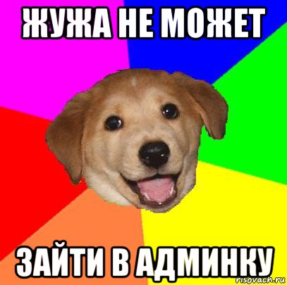 жужа не может зайти в админку, Мем Advice Dog