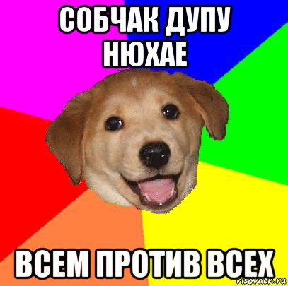 собчак дупу нюхае всем против всех, Мем Advice Dog