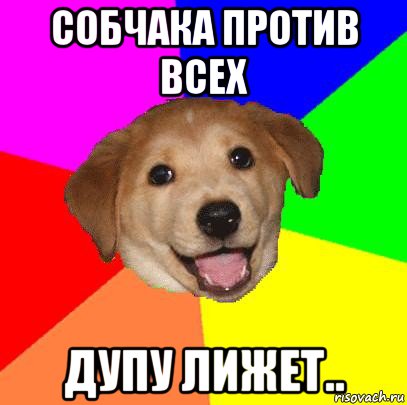 собчака против всех дупу лижет.., Мем Advice Dog