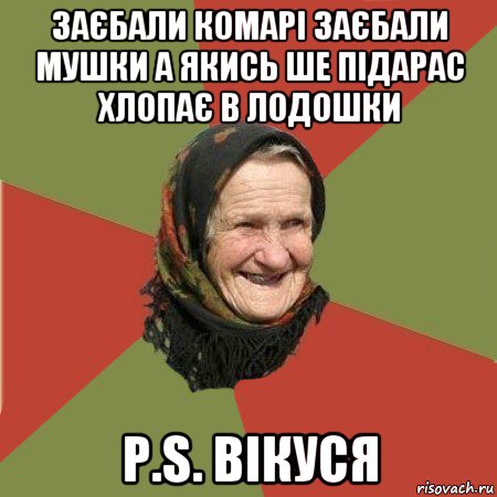 заєбали комарі заєбали мушки а якись ше підарас хлопає в лодошки p.s. вікуся, Мем  Бабушка