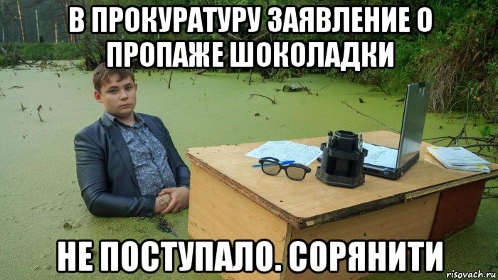 в прокуратуру заявление о пропаже шоколадки не поступало. сорянити, Мем  Парень сидит в болоте