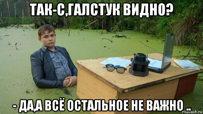 так-с,галстук видно? - да,а всё остальное не важно .., Мем  Парень сидит в болоте