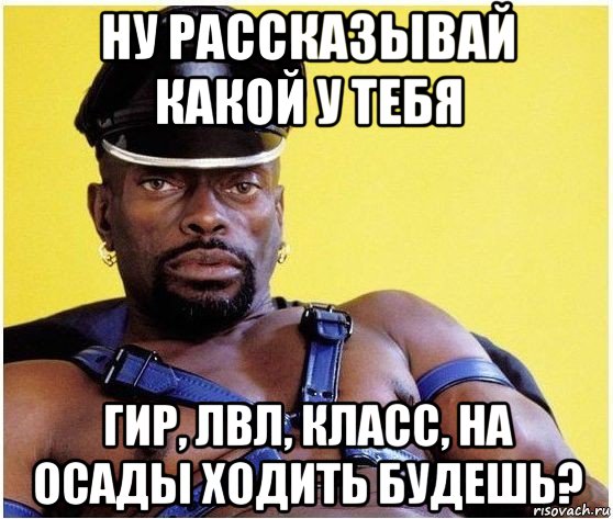 ну рассказывай какой у тебя гир, лвл, класс, на осады ходить будешь?, Мем Черный властелин