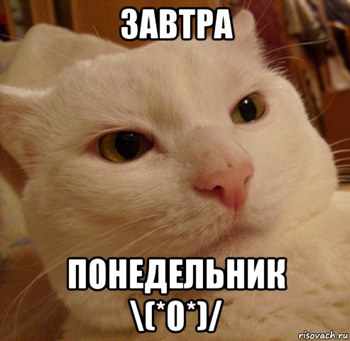 завтра понедельник \(*0*)/