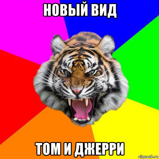 новый вид том и джерри