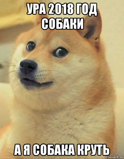 ура 2018 год собаки а я собака круть, Мем doge woof