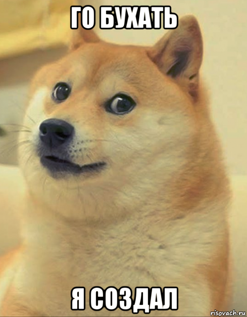 го бухать я создал, Мем doge woof