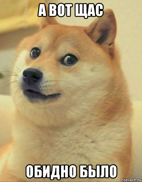 а вот щас обидно было, Мем doge woof