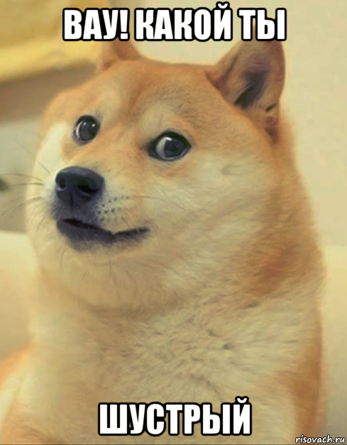 вау! какой ты шустрый, Мем doge woof