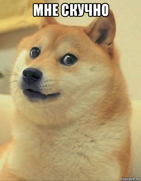 мне скучно , Мем doge woof