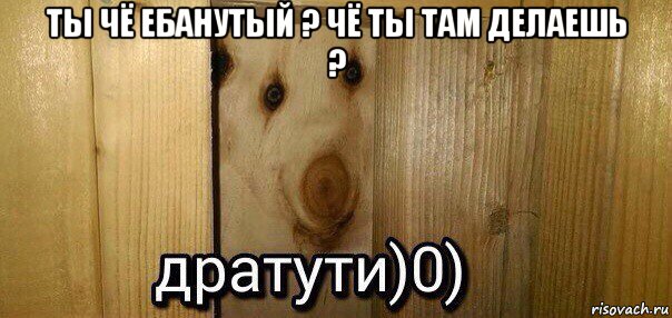 ты чё ебанутый ? чё ты там делаешь ? , Мем  Дратути