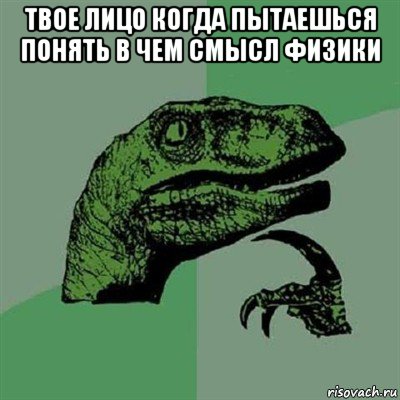 твое лицо когда пытаешься понять в чем смысл физики , Мем Филосораптор